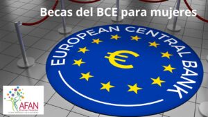 Becas Banco central europeo