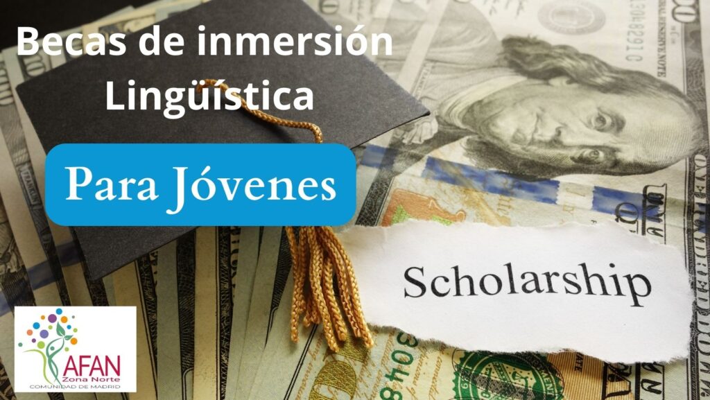 ayudas sociales y becas inmersión lingúística