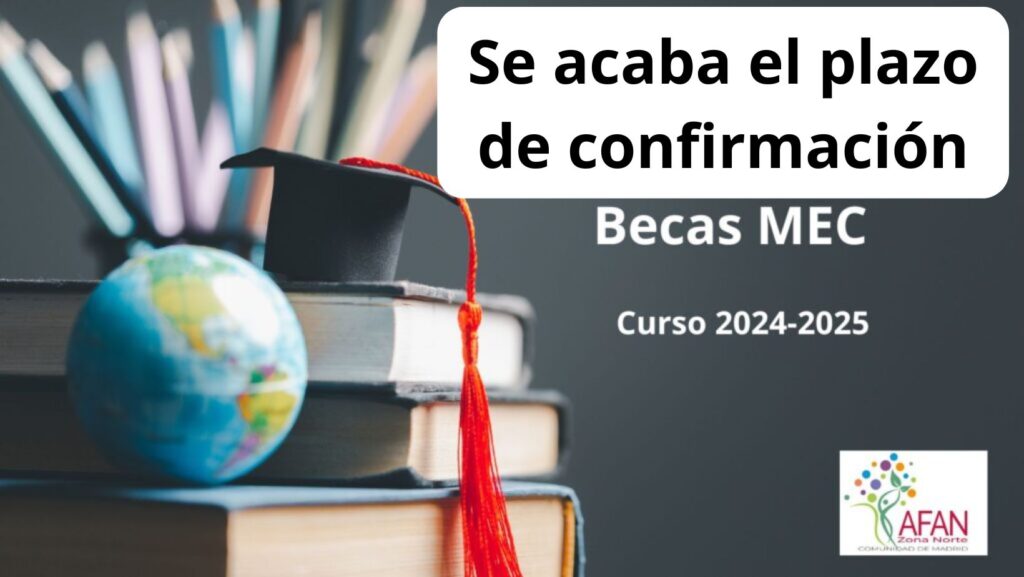 ayudas sociales y becas mec