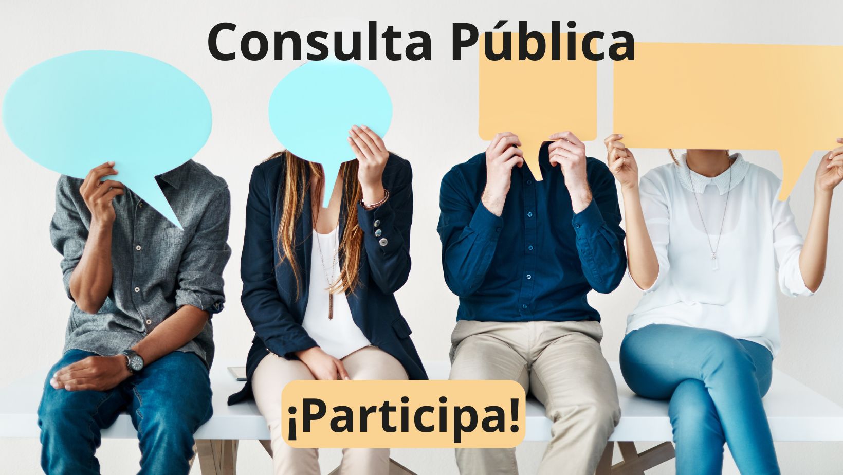 consulta pública