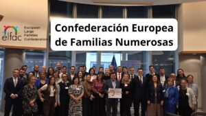 Confederación Europea De Familias Numerosas