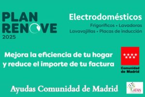plan renove cam ayudas y becas