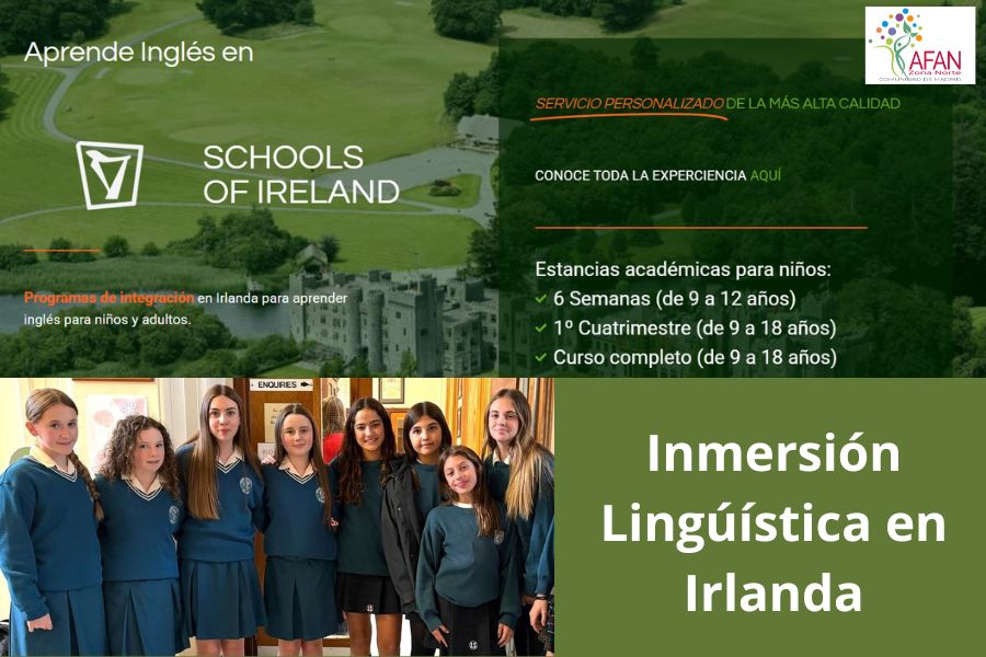 escuela en Irlanda