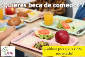 solicitar becas comedor cam 2026