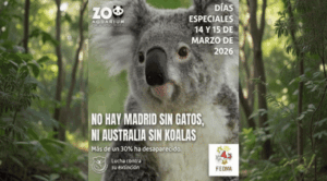 ocio en familia zoo marzo 26