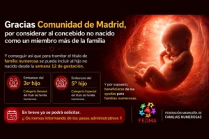 concebido no nacido 2026