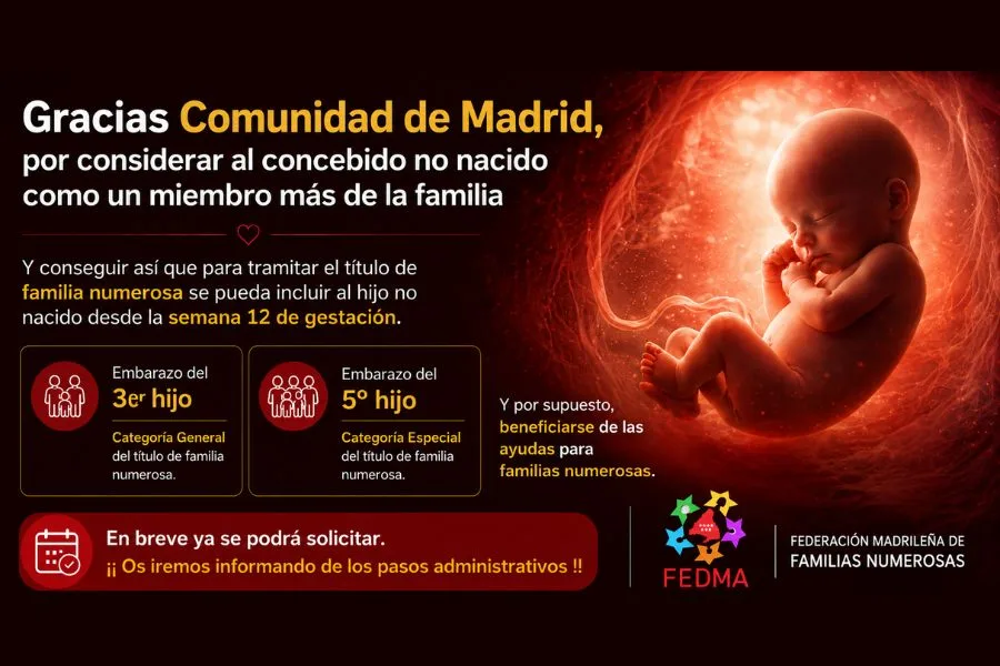 concebido no nacido 2026
