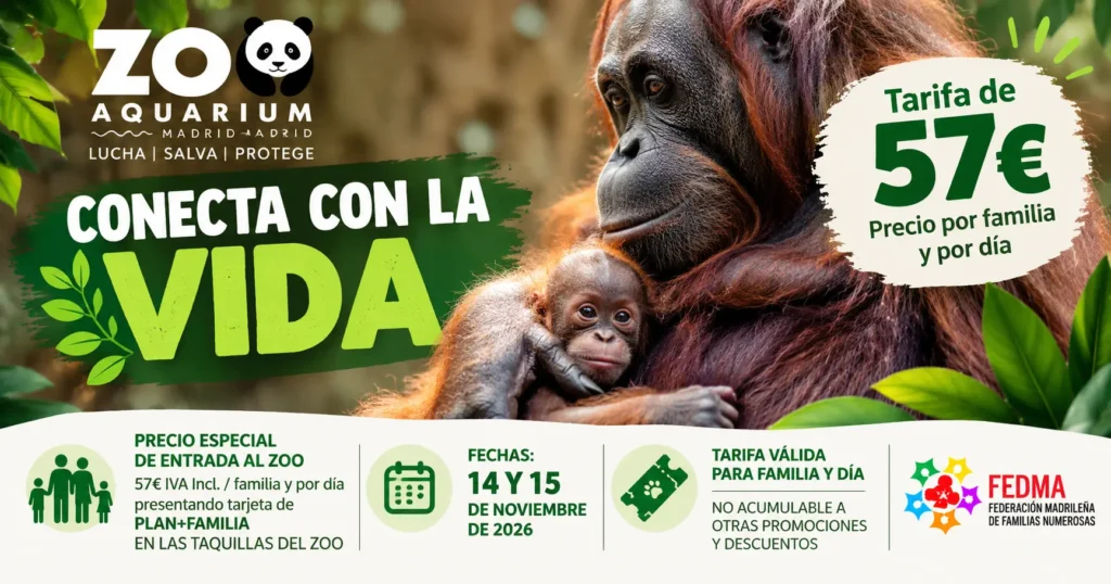 zoo aquarium noviembre 26 ocio en familia