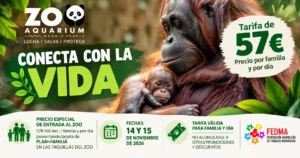 zoo aquarium noviembre 26 ocio en familia
